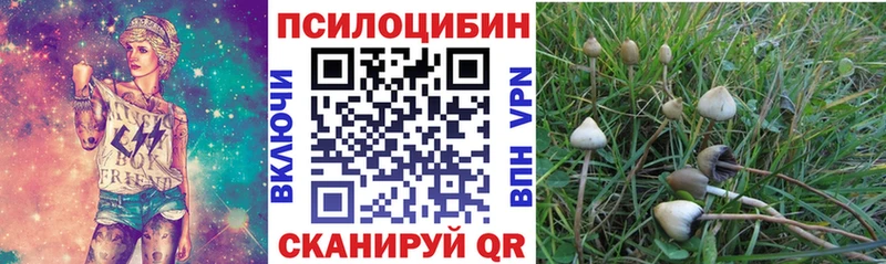 Псилоцибиновые грибы Magic Shrooms  Алушта 